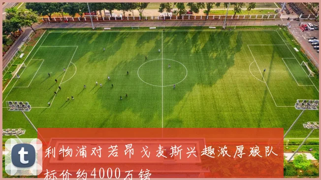 利物浦对若昂戈麦斯兴趣浓厚狼队标价约4000万镑